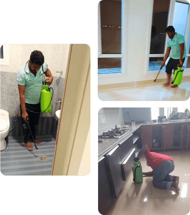 Golden Remas Pest Control